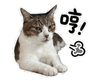 855358214
