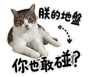 855358221