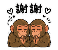 855360904