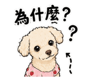 855361237