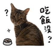 855361315