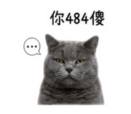 855362762