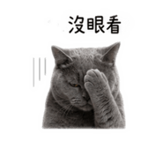 855362775