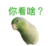 855362865
