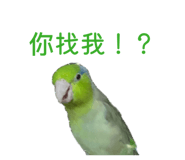 855362868