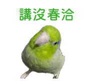 855362877