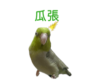 855362878