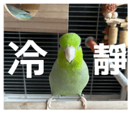 855362880