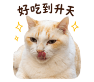 855362918