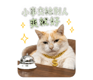 855362928