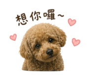 855363154