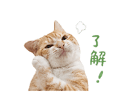 855363382