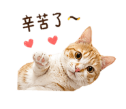 855363388