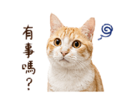 855363391