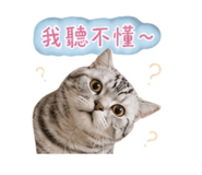 855363800