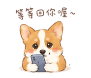 855363926