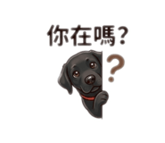 855364420
