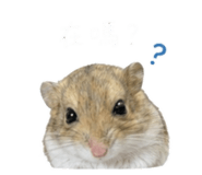 855364658