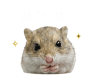 855364661
