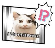 855364913