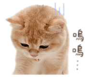 855365234