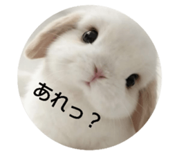 855367716