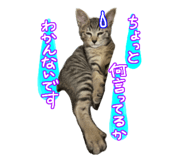 855368014