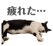 855368368