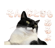 855369171