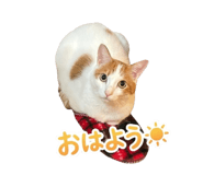 855369172