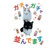 855369174