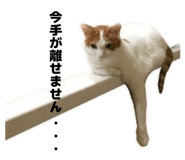 855369176