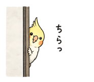 855370186