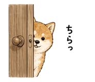 855370215