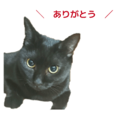 855370382