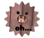 855372345