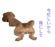 855373270