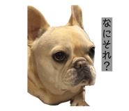 855374971
