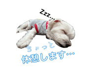 855375058