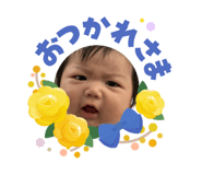 855375067