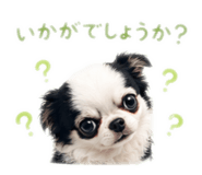 855375170