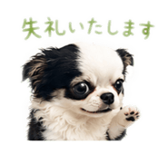 855375175