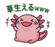 855375515