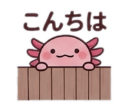 855375527