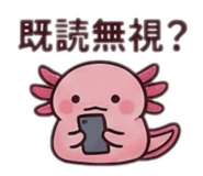 855375537