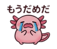 855375542