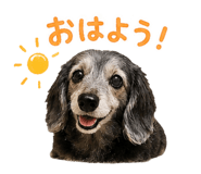 855376036