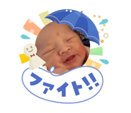 855376080