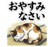 855376308
