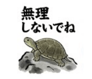 855376336